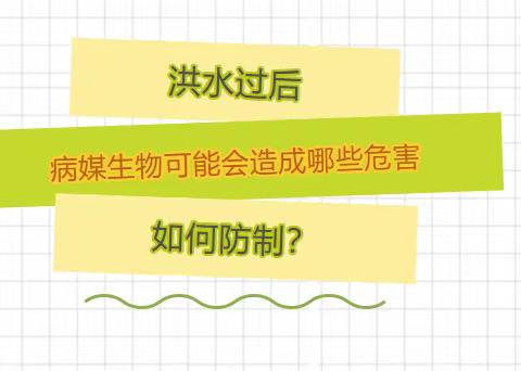 洪水过后病媒生物可能会造成哪些危害，如何防制？