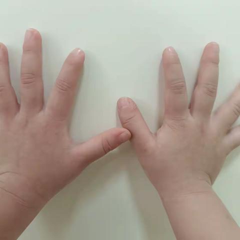 复兴幼儿园小一班11月主题活动《小手的探秘之旅》