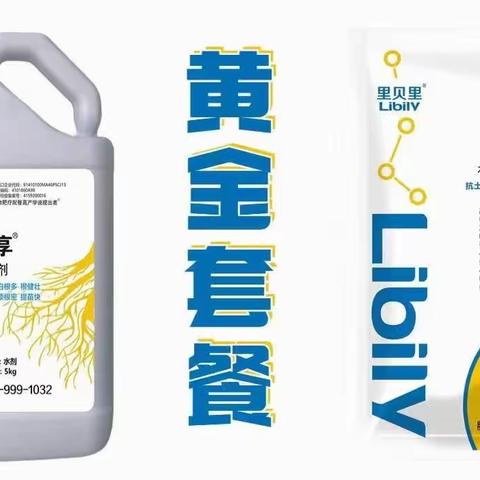 里贝里黄金套餐生根剂菌剂--效果篇