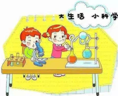 科学实践 快乐作业——小学三年级科学寒假实践作业展示