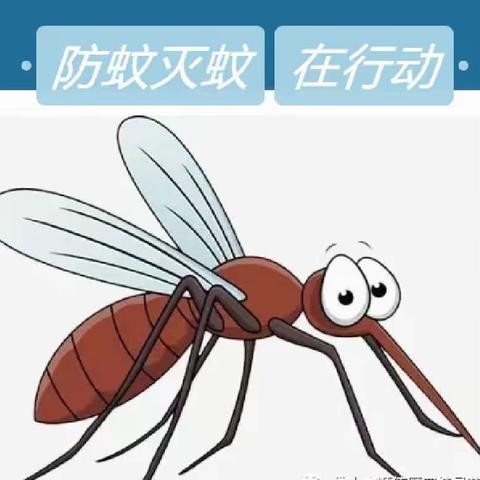 时间去哪了的美篇