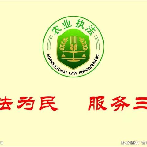 深学争优 敢为争先 实干争效| 培训指导检查多措并举，着力提升农业执法效能