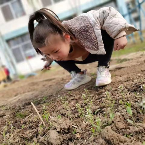 植物园里欢乐多