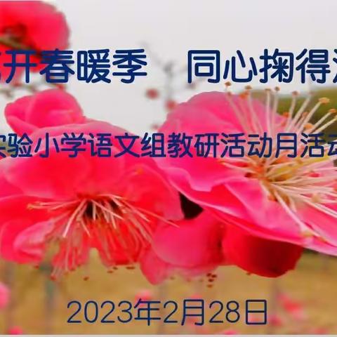 教研花开春暖季 同心掬得满庭芳——广信区皂头镇中心小学教研活动日活动汇报