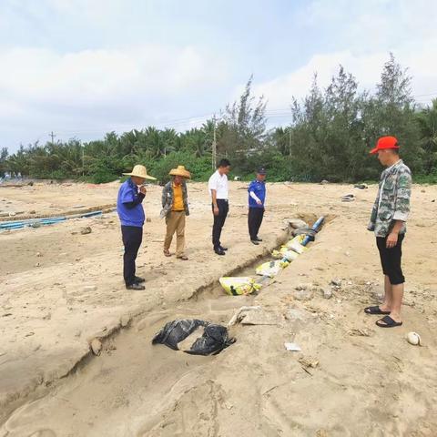 烟堆、阳光、边海砂质海岸整治工作