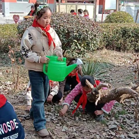 丁栾镇后吴庄小学——举行环保植树活动绿色校园从我做起