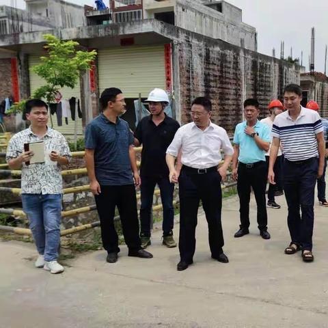 那大镇党委书记程建华莅临潭乐村调研污水泵站工作