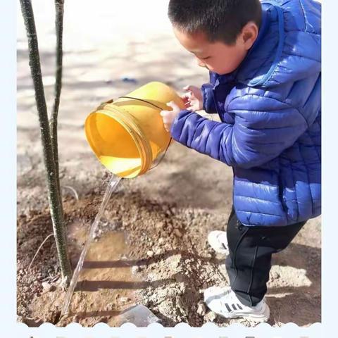 与绿相伴，向美而行——五郭店中心小学植树节活动