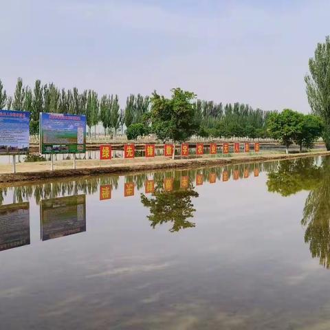 水利厅领导视察灵武市黄河流域生态保护和高质量发展先行区推进工作情况