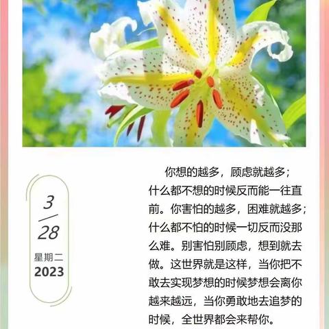 朵一班3月28日成长日记