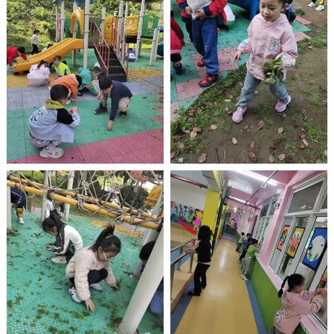 最好的教育就是让孩子参与劳动，我们有一双勤劳的小小手🖐🏻，让我们一起从身边的小事做起。