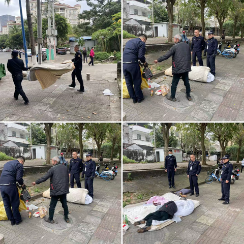 共建优美环境，创造美好家园——市综合行政执法局龙华分局工作动态（2023年2月17日）