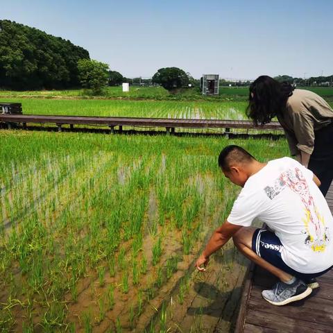 新帆汇远先锋队|工行上海新片区分行普惠金融服务点 奏响乡村振兴曲