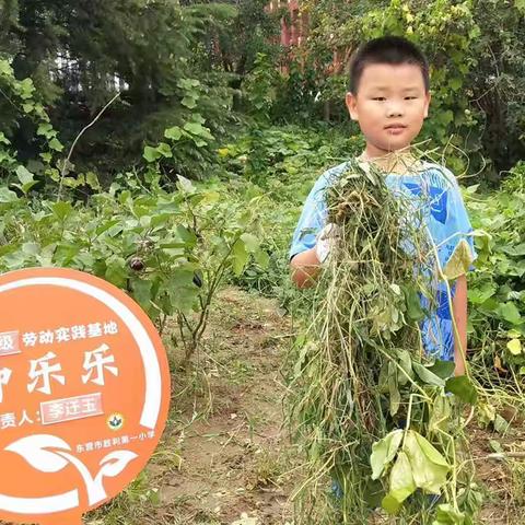 新学期、新劳动、新实践