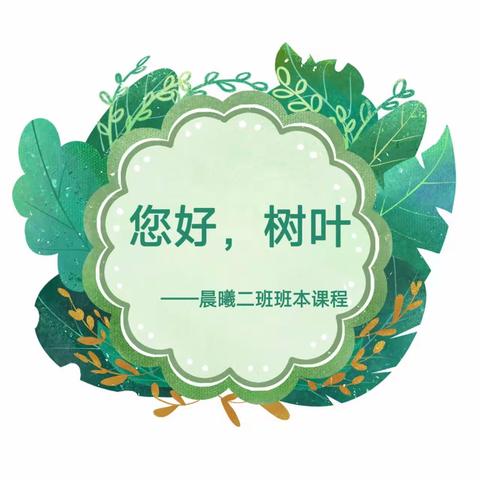 永新县新区幼儿园❤️晨曦二班❤️班本课程——“你好，树叶”😁