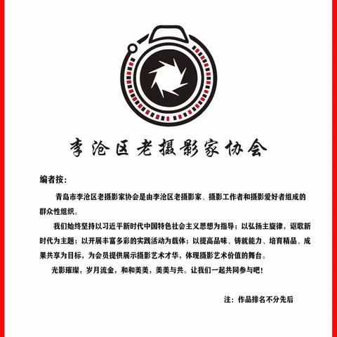 李沧区老摄影家协会会员每月一片（五月份）