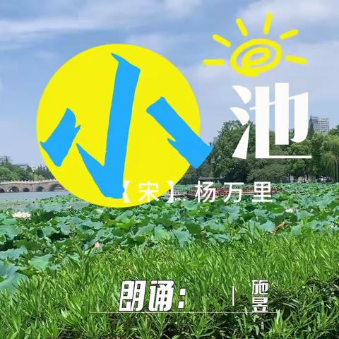 荷——通师二附六（3）班施昱