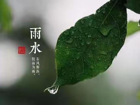 【草木萌动、雨水有约】——永宁八幼教育集团银子湖幼儿园二十四节气“雨水”温馨提示