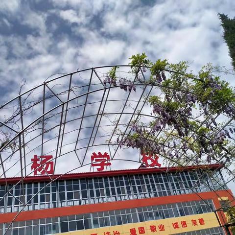 【白杨★教研】聚焦“高效”明方向，减负增效提质量