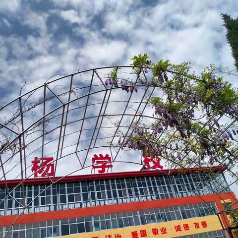 【白杨★运动】白杨学校春季校园运动风采展