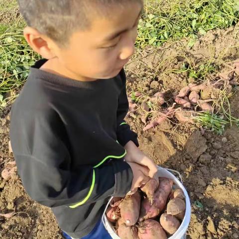 “懂感恩胸怀大志，尽孝心情义浓浓”一一殷都区水冶镇阜东小学三二中队周末综合实践活动（二）