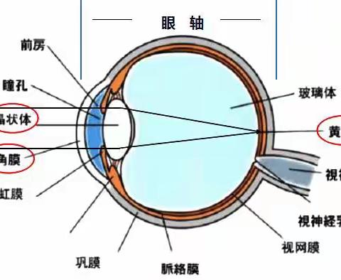 5月28号嘉鱼县人民医院眼科牌洲义诊活动预告