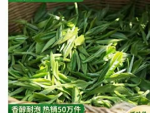 2023新茶，大黄山毛峰，高山云雾茶野茶毛尖绿茶安徽茶