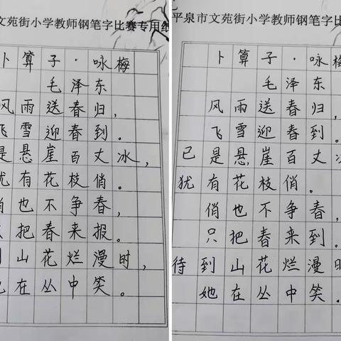 一笔一画展风采 一撇一捺书风华 ——文苑街小学开展教师两笔字比赛活动