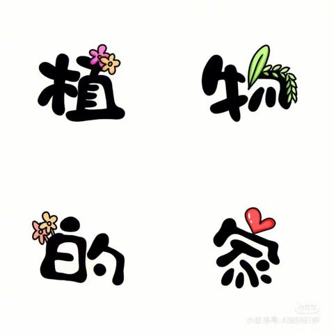 种植“正”当时 不负“好”春光