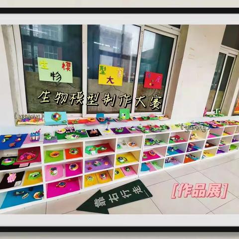 齐河一中趣味课堂之生物模型比赛