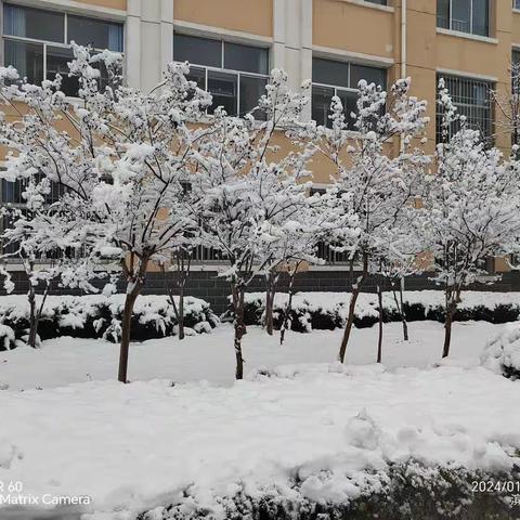 “初雪是景，除雪是情”，高新区中学全体生活老师扫雪纪实