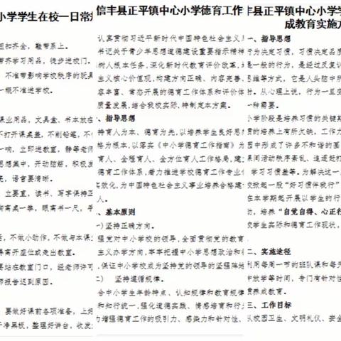 育德育心，向光而行——信丰县正平镇中心小学少先队工作总结