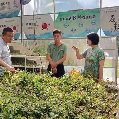 【南圣村党日活动篇】调研考察产业发展，探索林下经济发展之路
