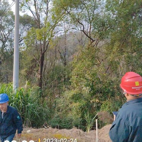 2023年2月24日社口所10kV社口II线巡视清障