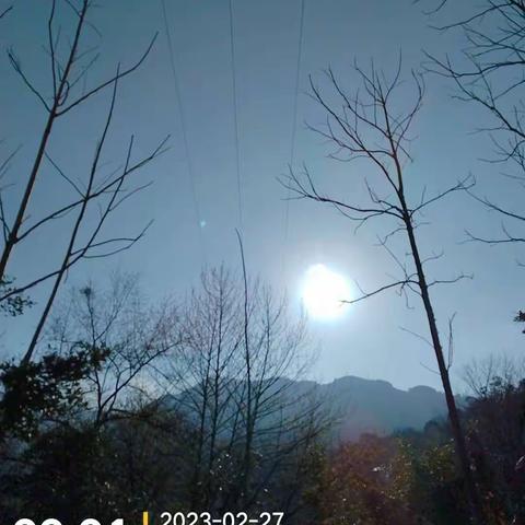 社口所2023年2月27日10kV社口II线社坑支线、岩头面分支线线路巡视清障