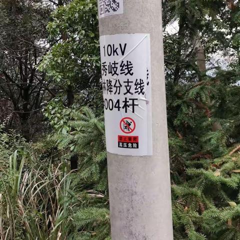 2023年3月1日社口所10kV秀岐线配合政府清障
