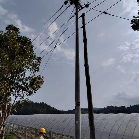 2023年3月20日社口所10kV首洋线瞬时性失地告警特巡带电消缺