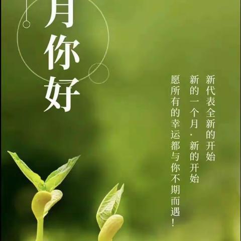 “探究复习策略，提高教学实效”经验交流培训活动——金屯镇明德小学