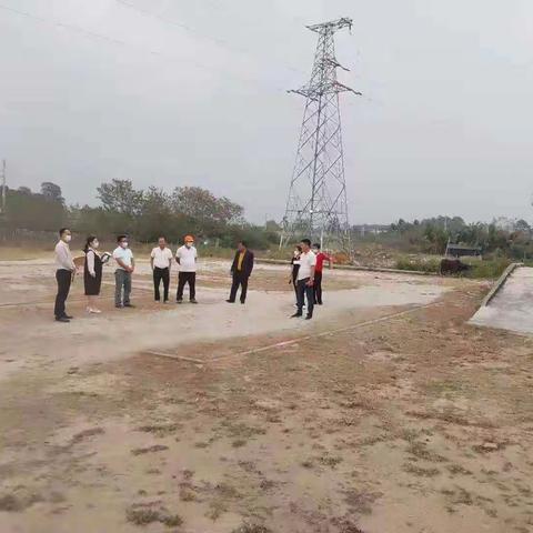 文英村党代表座谈会及开展实地调研活动