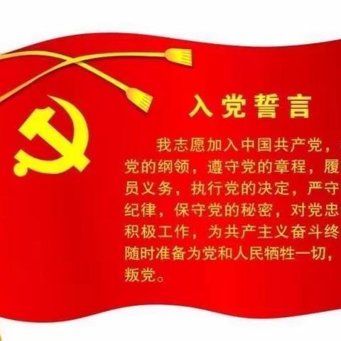 双庙中心小学五月份主题党日活动