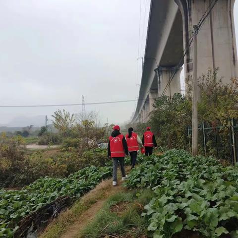 袁州区下浦街道：加强护路巡查，确保铁路运输平安