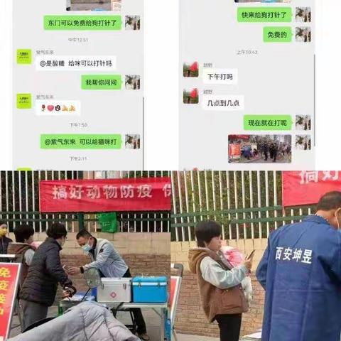 强化动物疫苗 筑牢宠物“防护网”---上林街道世纪大道南社区开展动物防疫疫苗接种宣传活动