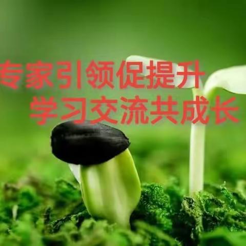 专家引领促提升 学习交流共成长---翁旗小学英语教师参加《基于教学核心问题看英语新课标之变》培训纪实