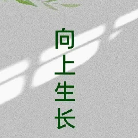 “集备凝智慧，共研促成长。”——徐州市时楼小学语文组集体备课展评