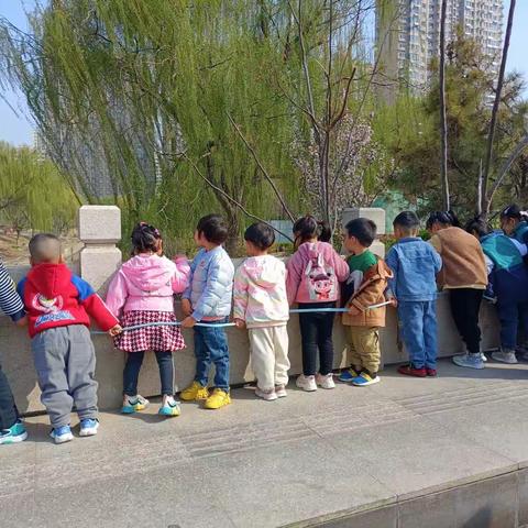 维特中班一周活动掠影（3 月27-31）