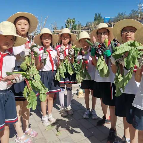 播种希望  放飞梦想—记宣化区中小幼劳动实践教育基地主题活动