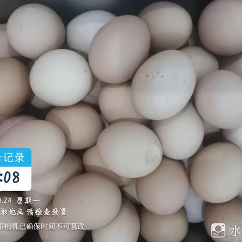 净月养老院早餐 老人900护工260