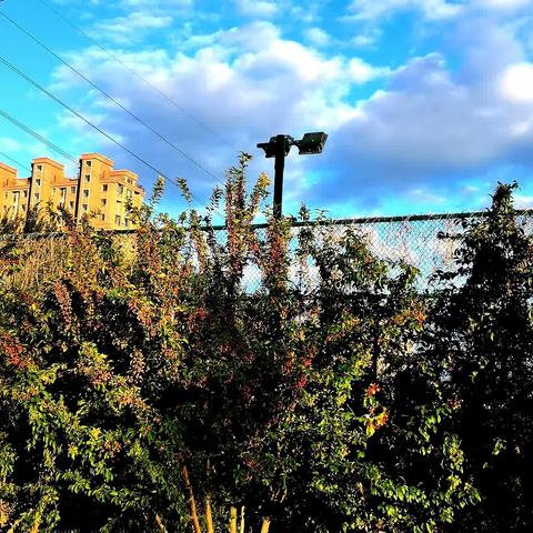 王然假期作业展