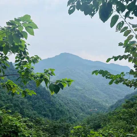 阳光心育优品天地组&田野团—登山识趣