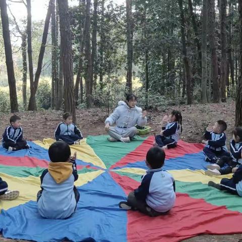 东风实验学校附属铁山坪幼儿园中班——森林课程《自然皇冠》